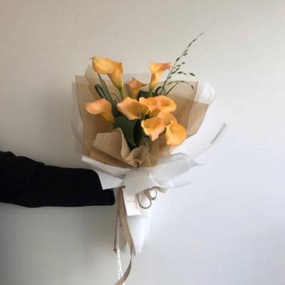 糟粕观念是怎么上的公交车