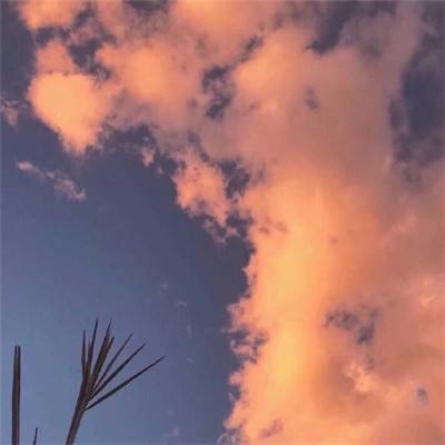 梅洛尼承认在意大利司法改革公投中落败