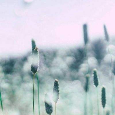 美方向伊朗提出和谈方案，国际油价震荡，黄金、白银上涨