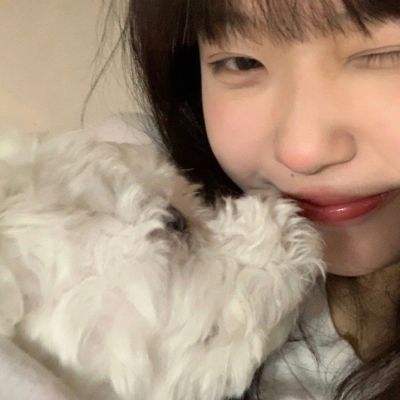 bb平台体育app官网